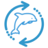dolphincloud.hu